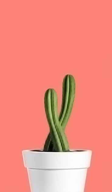 手机号呼叫轰炸app